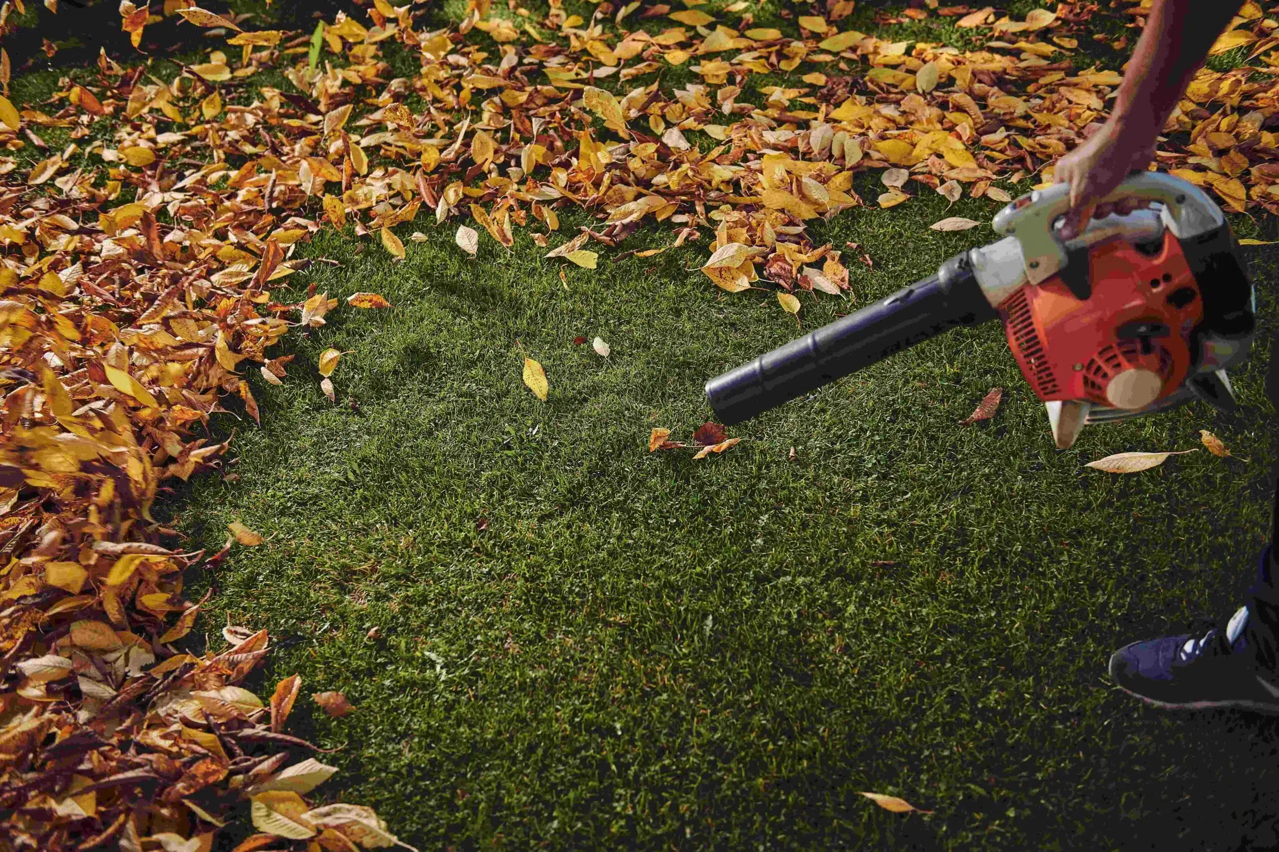 aspirateur à feuilles