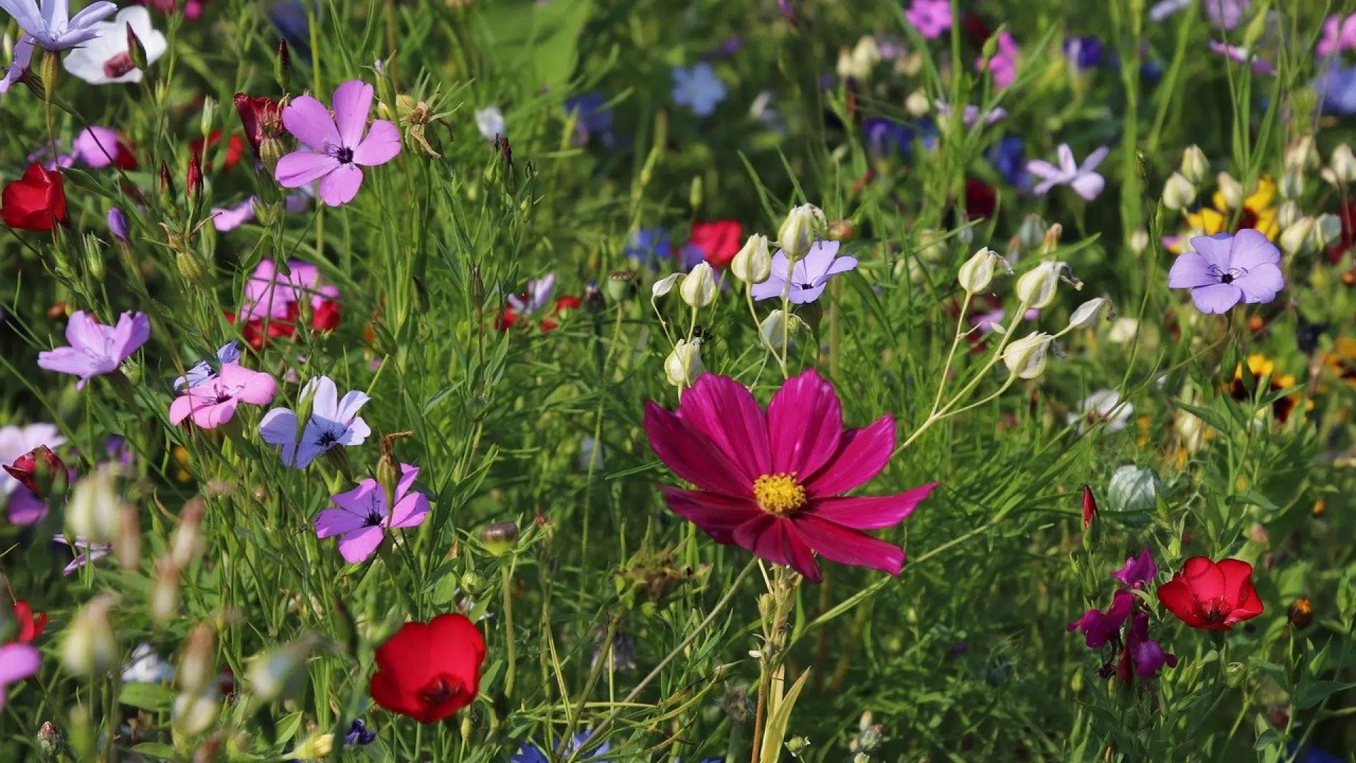 Comment faire un meilleur usage de son salon de jardin ?