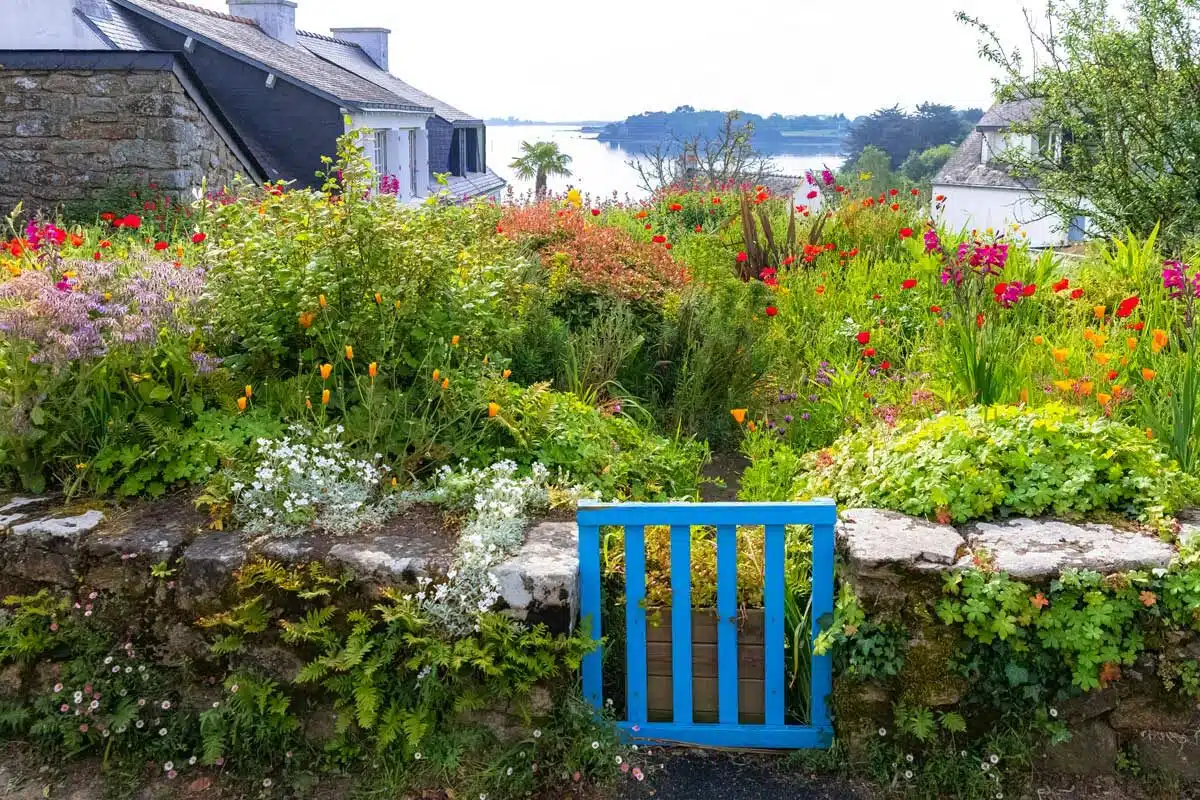 implanter une haie de Benjes dans un jardin