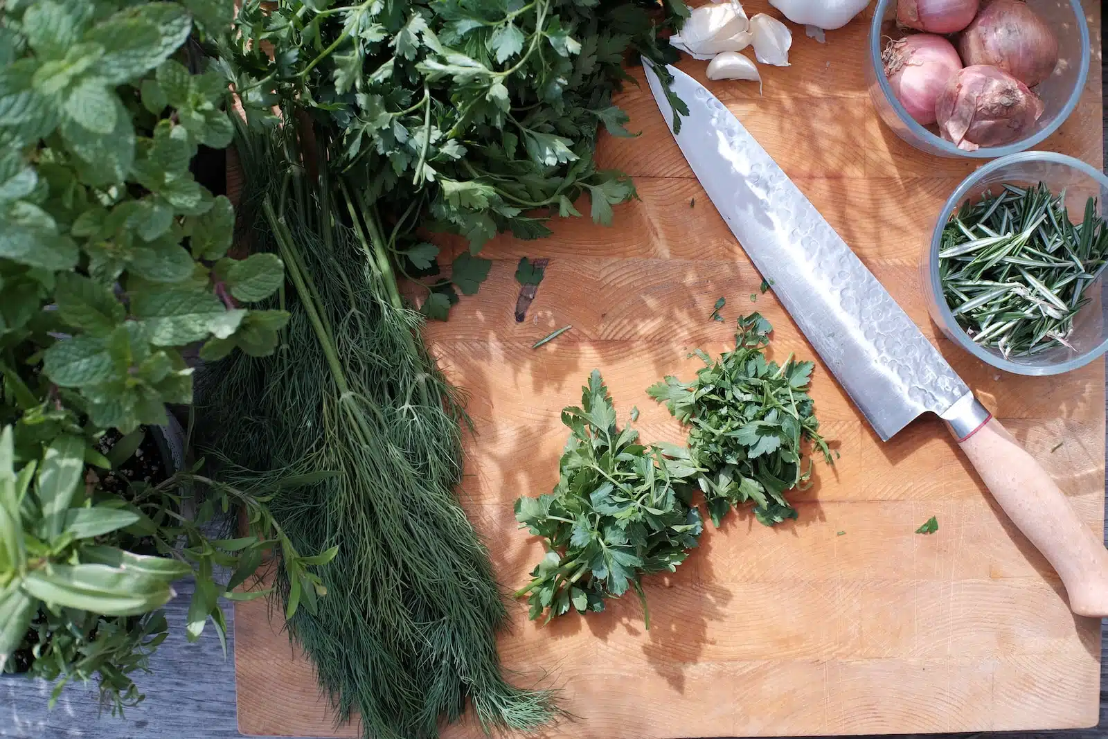 Les meilleures plantes aromatiques pour un carré potager 