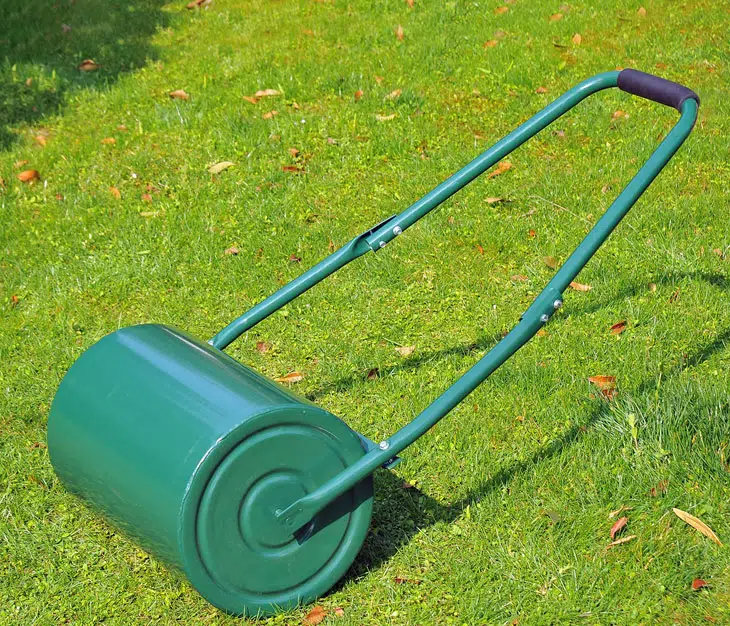 Quand passer le rouleau sur la pelouse ?